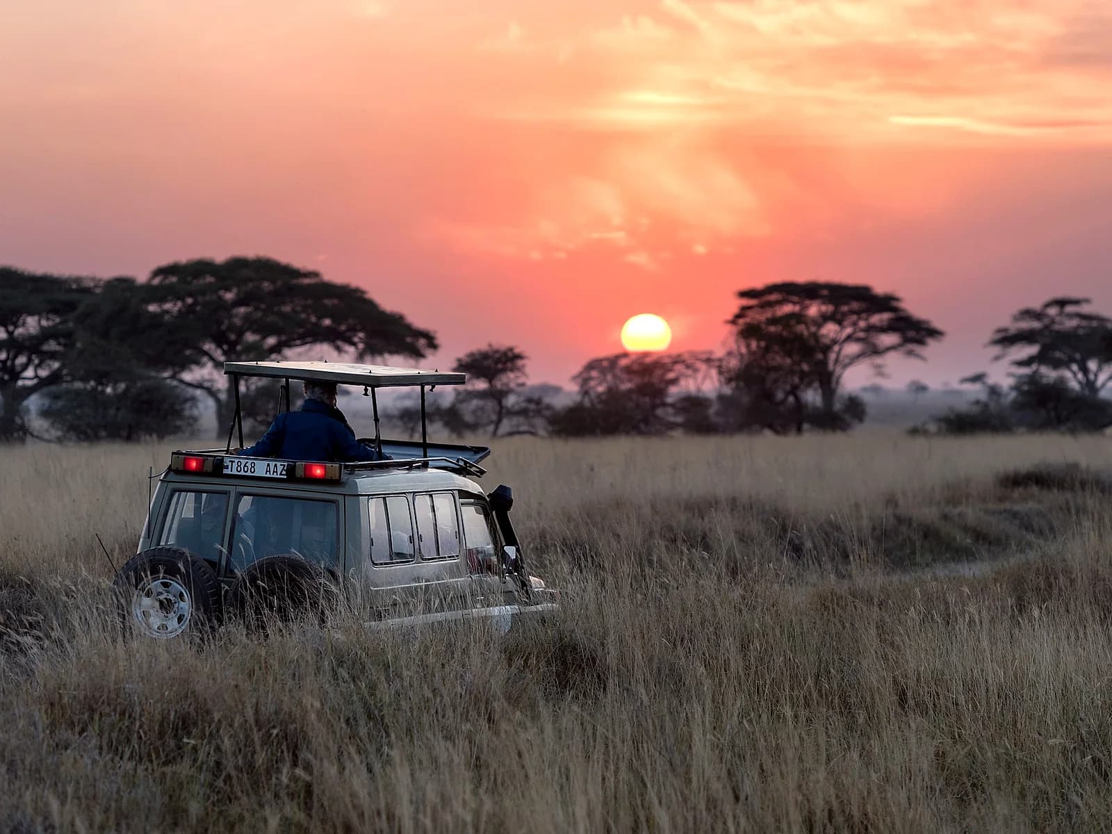Aquila Safari from Cape Town — Cape Town and the Western Cape