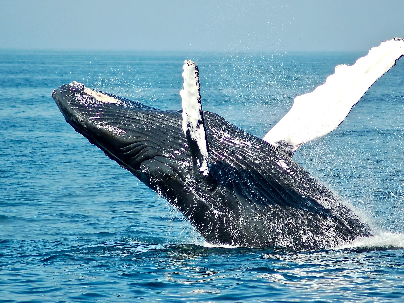 Garden Route beyond Cape Town — Cape Town and the Western Cape