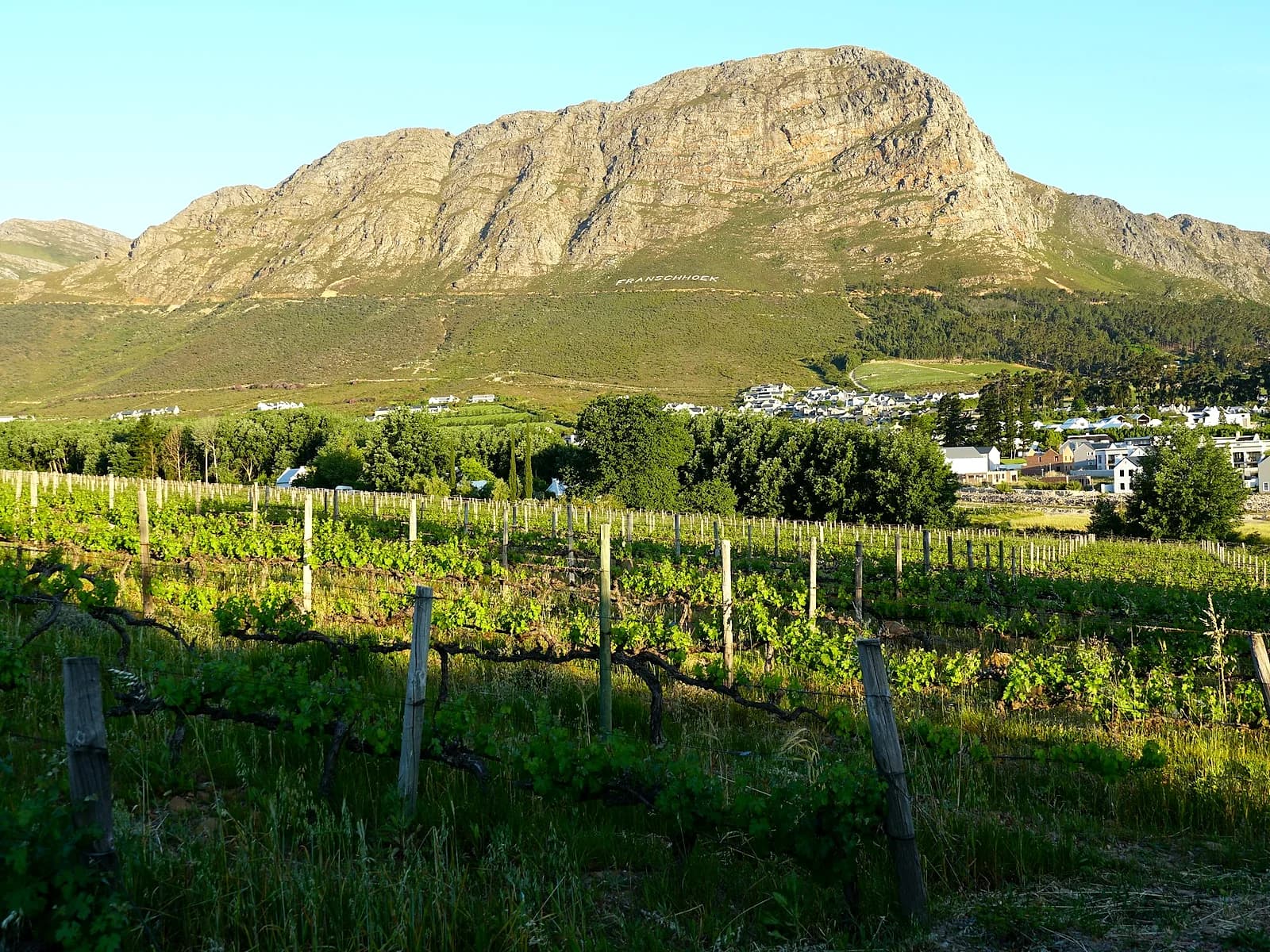 Klein Constantia estate — Cape Town and the Western Cape