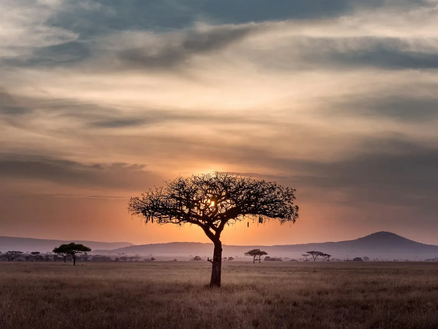 Sunset over African landscape with warm golden light