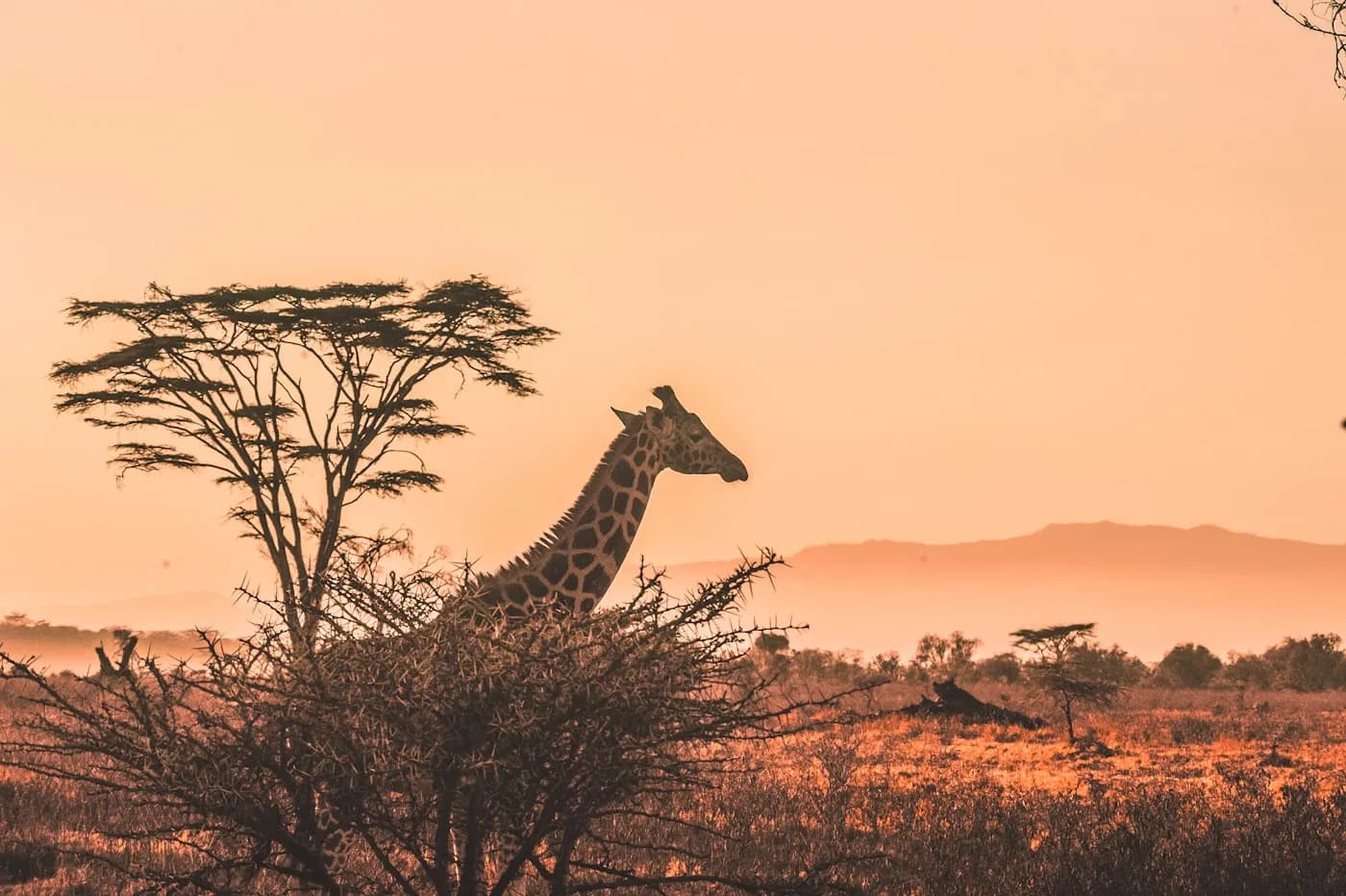 Editorial travel photography of an African city street